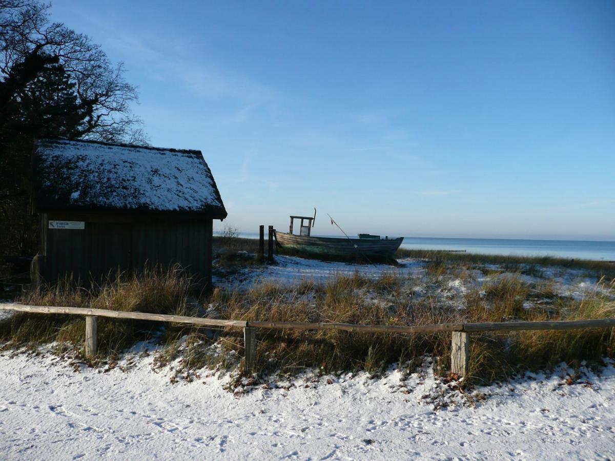 Residenz Am Strand Wohnung 2-36 Zingst Ngoại thất bức ảnh